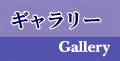 ギャラリー