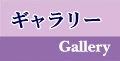 ギャラリー